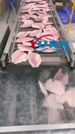 China Manufacture Glazing Machine Hardening Equipment for Seafood/Shrimp/Fish Iced 30% Best Price