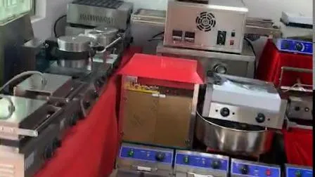 Electric Soup Kettle 