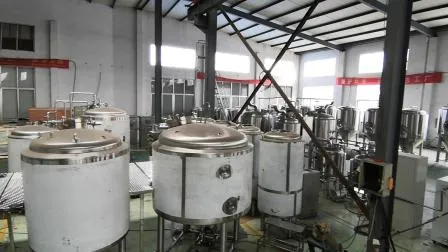 Cassman 300L Beer Brewing Kettle Craft Beer Brewery Equipment for Sale 